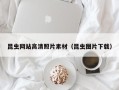 红河昆虫网站高清照片素材（昆虫图片下载）