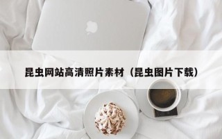 红河昆虫网站高清照片素材（昆虫图片下载）